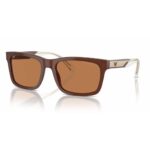 Emporio Armani EA4208 model